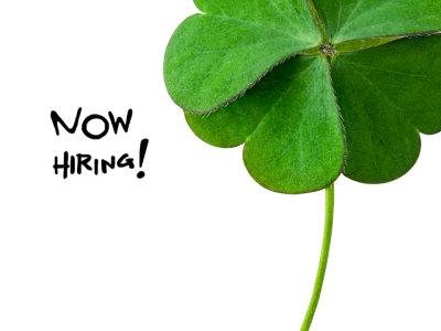 Hiring english speakers into Irish jobs (1)